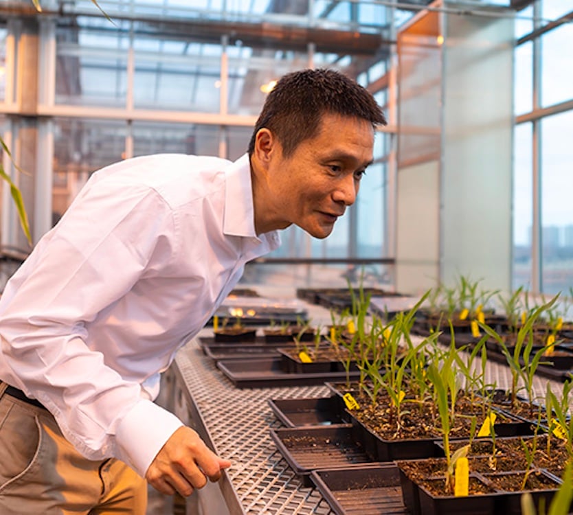 UChicago researcher with plants