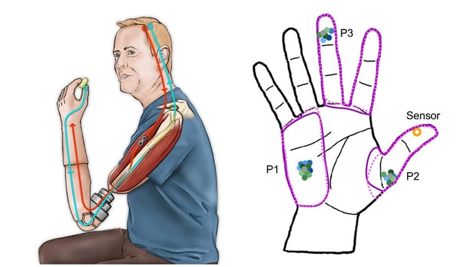 device diagram