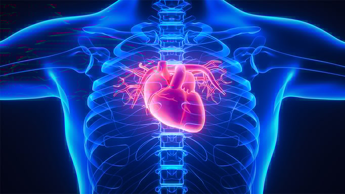aortic image