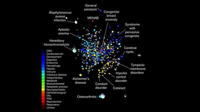 Disease embeddings