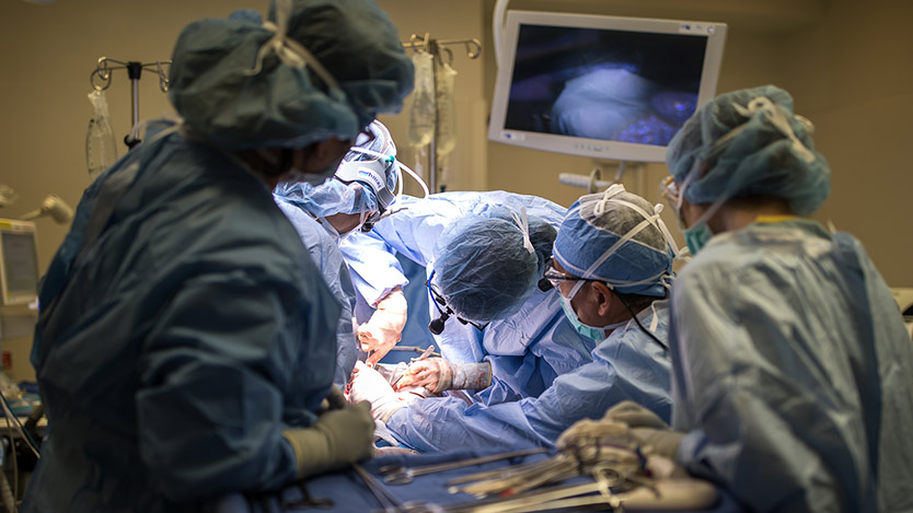 Dr. Baker and Dr. Fung performing transplant surgery