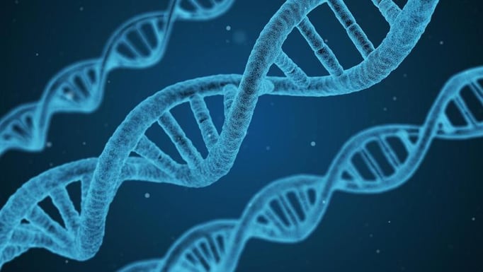 Genes