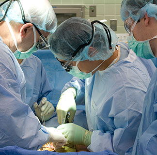 Vascular_image