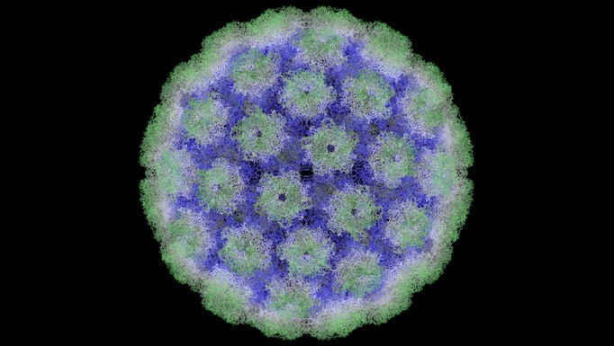 HPV