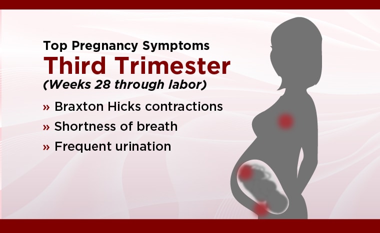 Cervix Pregnant Wife Nude - Tips to manage pregnancy symptoms by trimester - UChicago Medicine
