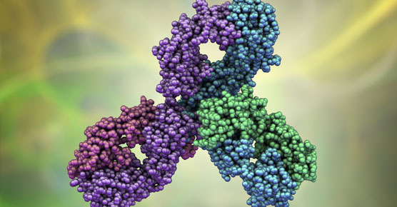 pembrolizumab illustration