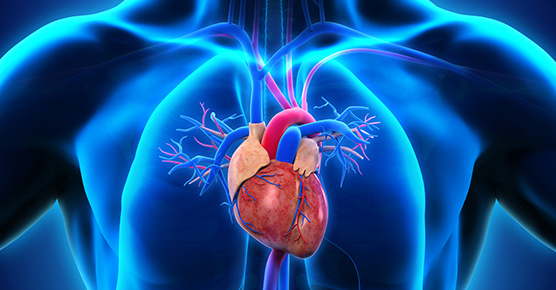Coronary Artery Bypass Surgery - UChicago Medicine