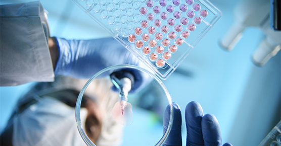 infectious Disease 556 x 290