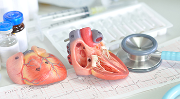 heart innovation and tech stroytelling 370 x 203
