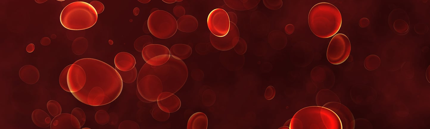 Blood cells traveling through a vein Blood cells traveling through a vein
