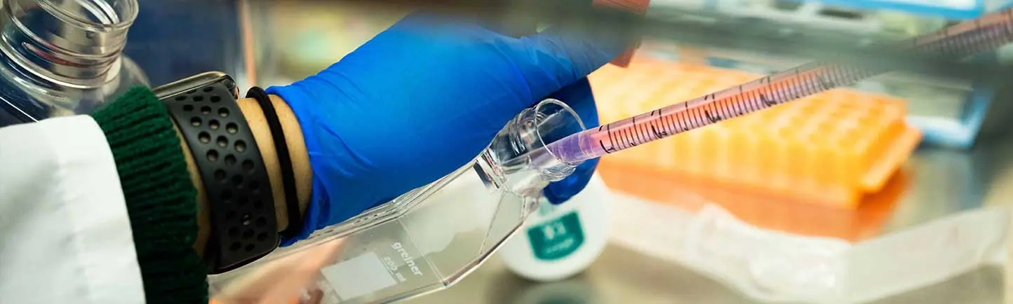 blue gloved hand and pipette