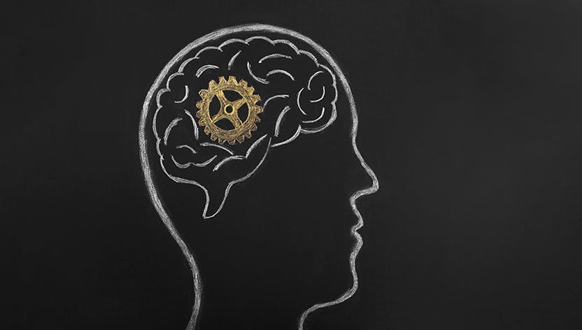 Chalkboard drawing of a brain with a gear