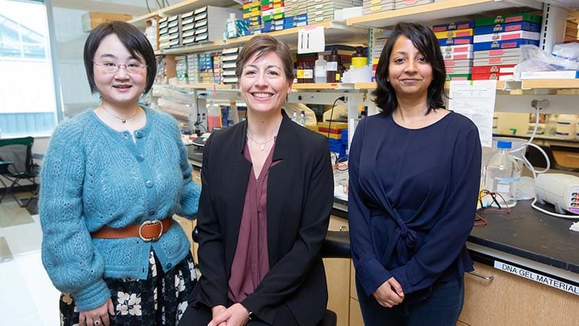 Mengjie Chen, PhD (left), Megan McNerney, MD, PhD (center), and Maanasa Raghavan, PhD (right),