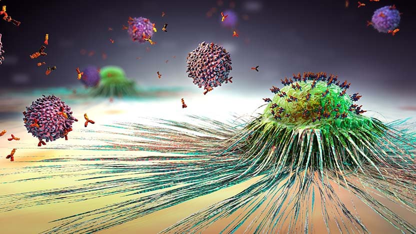 new pancreatic cancer research chicago