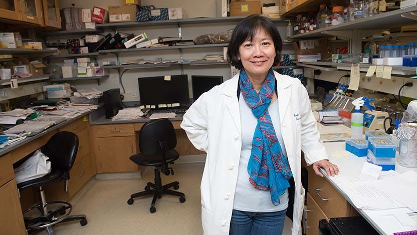 Anita S. Chong, PhD standing in her laboratory.