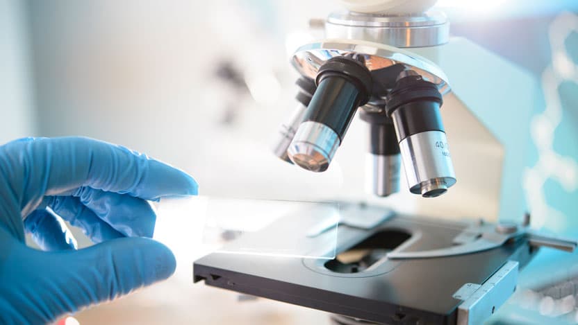 close-up view of microscope and slide, with gloved hand