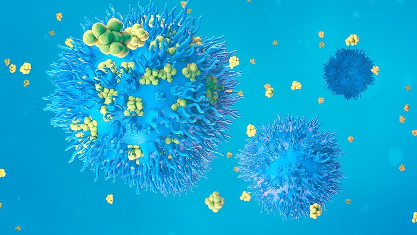 An illustration of proteins with lymphocytes