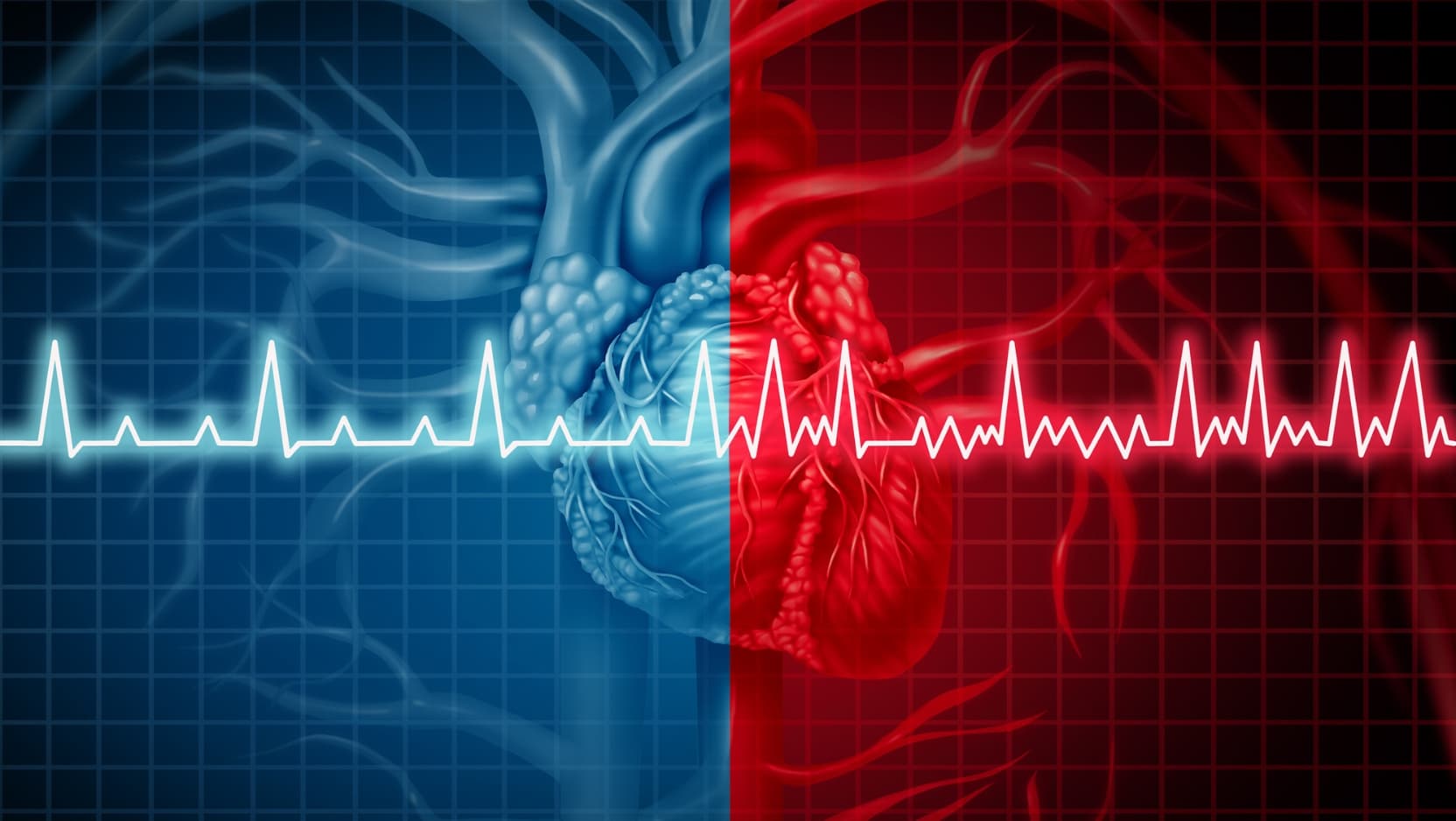 Illustration of an anatomically correct heart overlaid with a heartbeat monitor readout