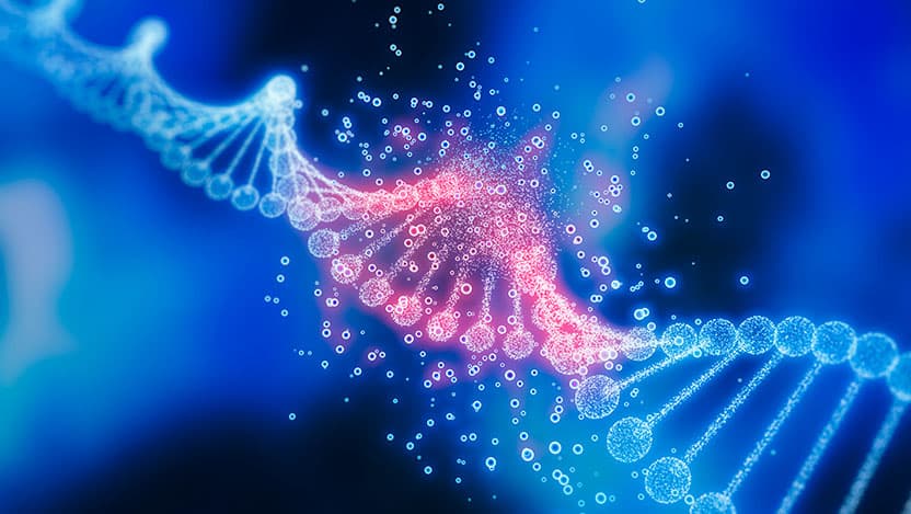 Image of DNA particle