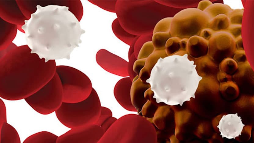 car t cell therapy