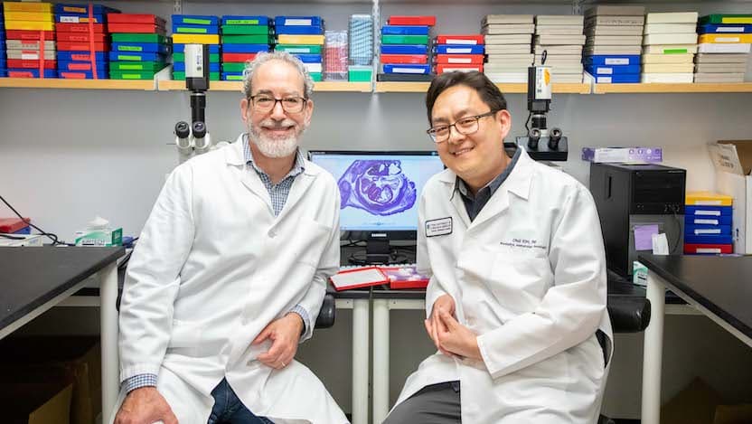 Ivan Moskowitz, MD, PhD, Professor of Pediatrics, Human Genetics, and Pathology, and Chul Kim, PhD, Research Professional III, in the Moskowitz lab.