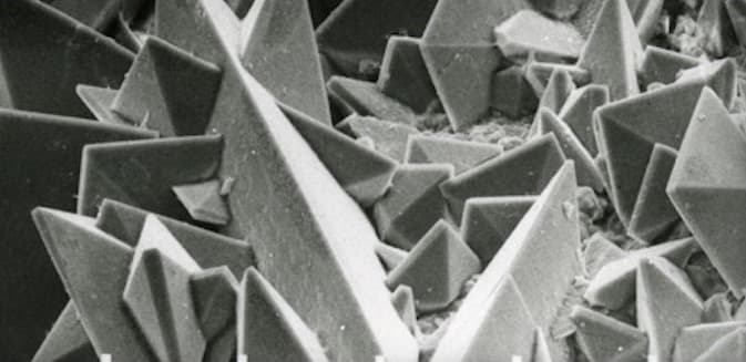 Kidney stone surface