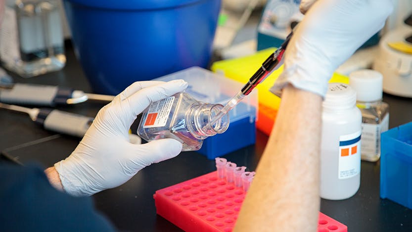 Scientist pipettes liquid into a vial in a  lab