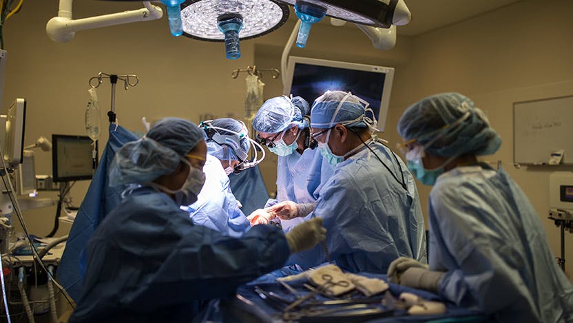 Dr. Fung in transplant surgery