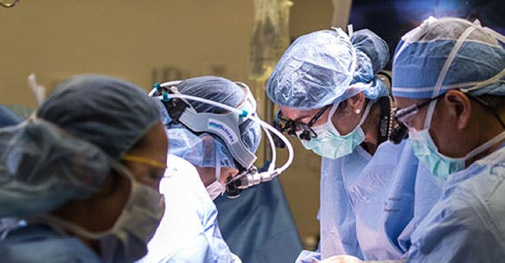 surgeons performing transplant surgery