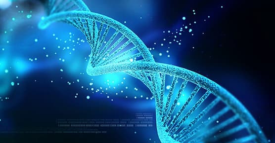 Image of DNA research