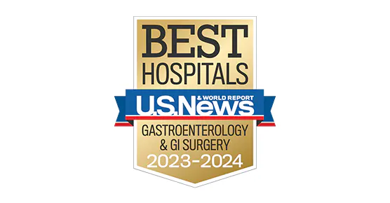 US News and World Report 2023-24 Badge for Gastroenterology