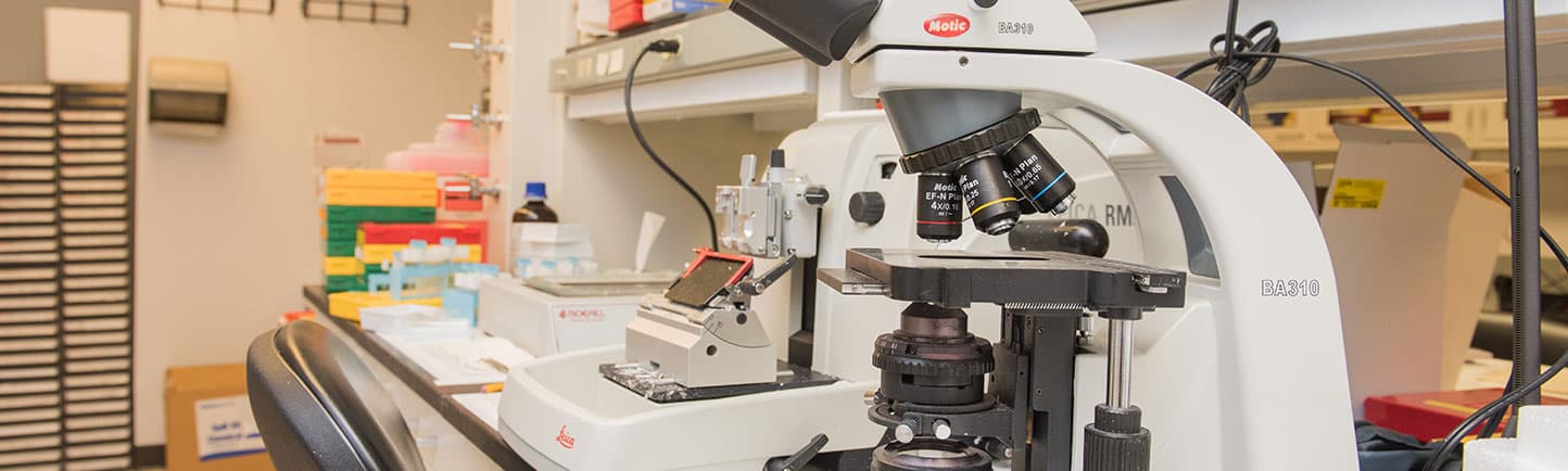 Lab setting with microscope as main focus